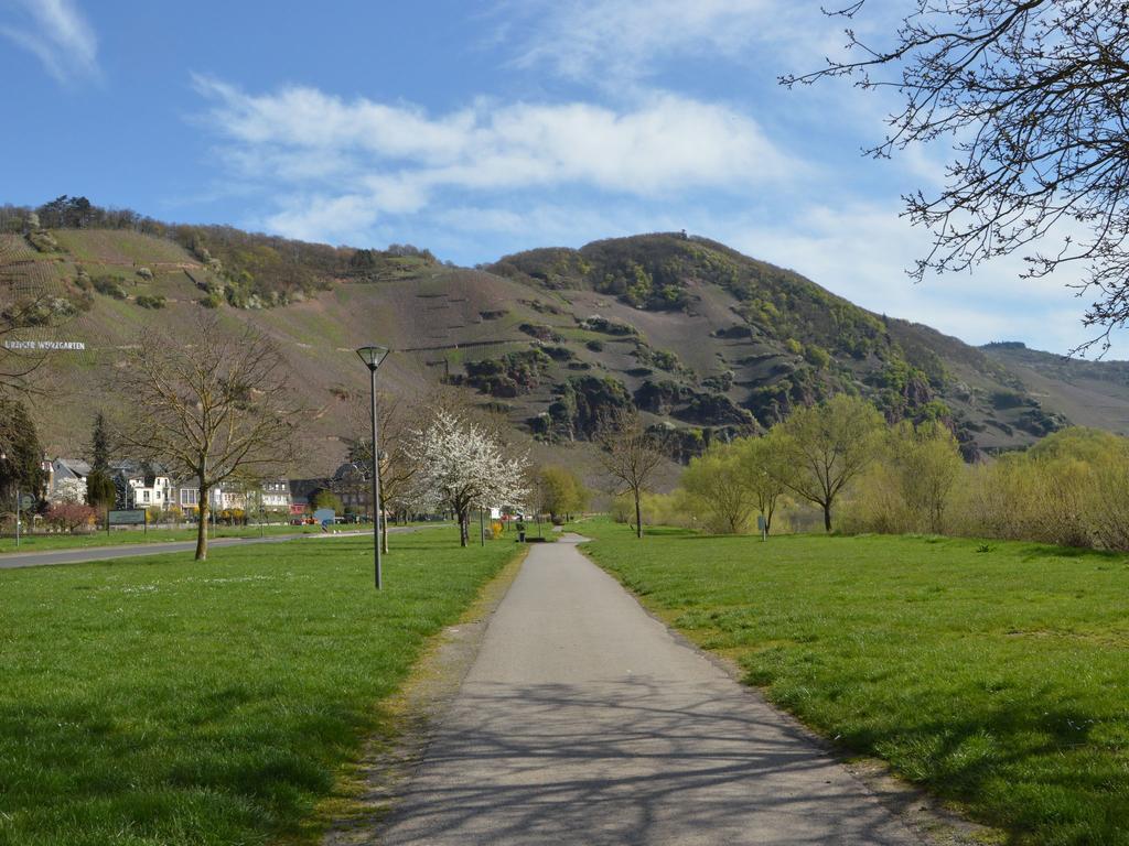 Classy Holiday Home In Uerzig Near Forest エクステリア 写真